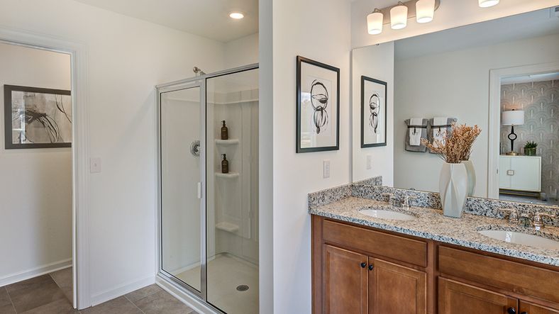 Owner's suite bath
