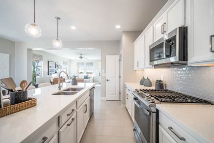 Parkside Villas RM1  Kitchen  5