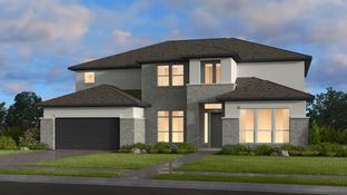 Calypso - Travisso Naples Collection: Leander, Texas - Taylor Morrison