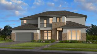 Calypso - Travisso Naples Collection: Leander, Texas - Taylor Morrison