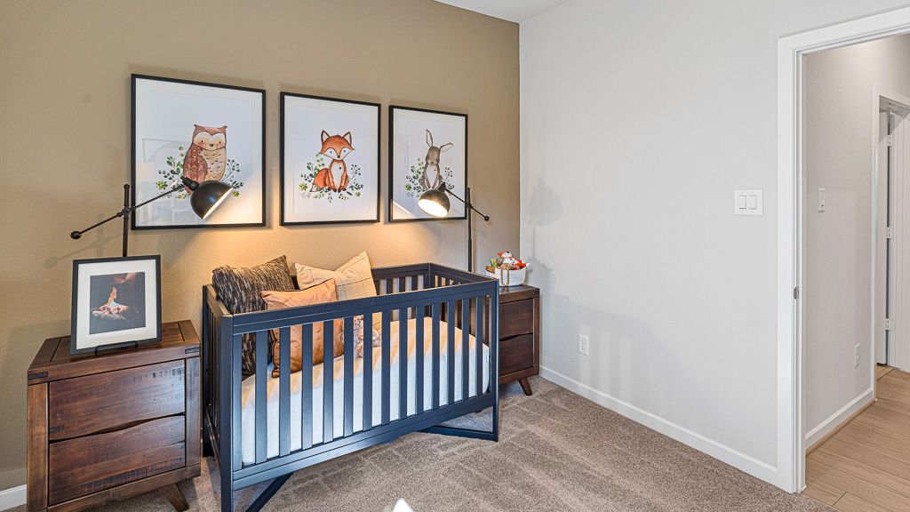 26-TM Model-9618 Skyway Creek-20240212