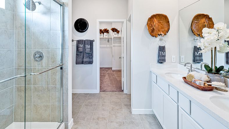 70-TM Model-9618 Skyway Creek-20240212