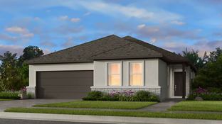 Bosque 2 - Lisso 50s: Pflugerville, Texas - Taylor Morrison