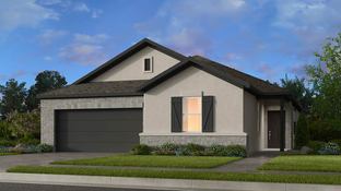 Bosque 2 - Lisso 60s: Pflugerville, Texas - Taylor Morrison