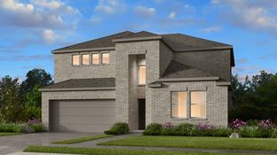Comal - Lisso 50s: Pflugerville, Texas - Taylor Morrison