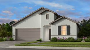 Blanco 2 - Lisso 50s: Pflugerville, Texas - Taylor Morrison