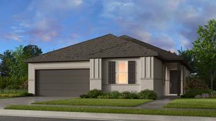 Bosque 2 - Lisso 50s: Pflugerville, Texas - Taylor Morrison