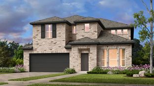 Bordeaux - Cross Creek Meadows 55s: Celina, Texas - Taylor Morrison