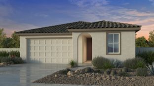 Sandstone - Combs Ranch Discovery Collection: San Tan Valley, Arizona - Taylor Morrison
