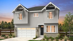 Ridgway - Trailstone Town Collection: Arvada, Colorado - Taylor Morrison