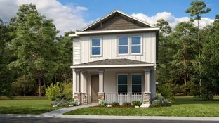 Newberry - The Waters at Center Lake Ranch: Saint Cloud, Florida - Taylor Morrison