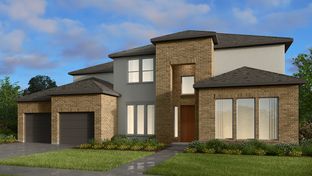 Palladium - Avalon at Cypress 70s: Cypress, Texas - Taylor Morrison