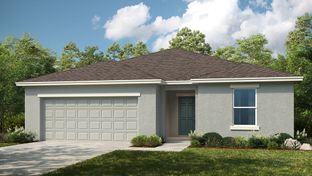 Cypress - Waterstone: Groveland, Florida - Taylor Morrison