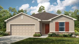 Cypress - Waterstone: Groveland, Florida - Taylor Morrison
