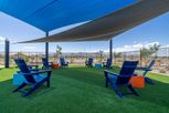 Allen Ranches Fiesta Collection - Litchfield Park, AZ