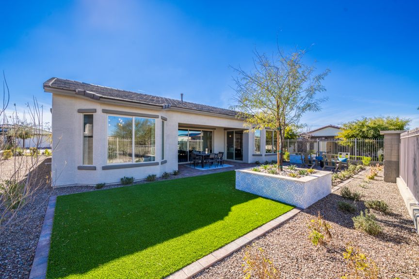 CantaMia CadenceBackyard  6