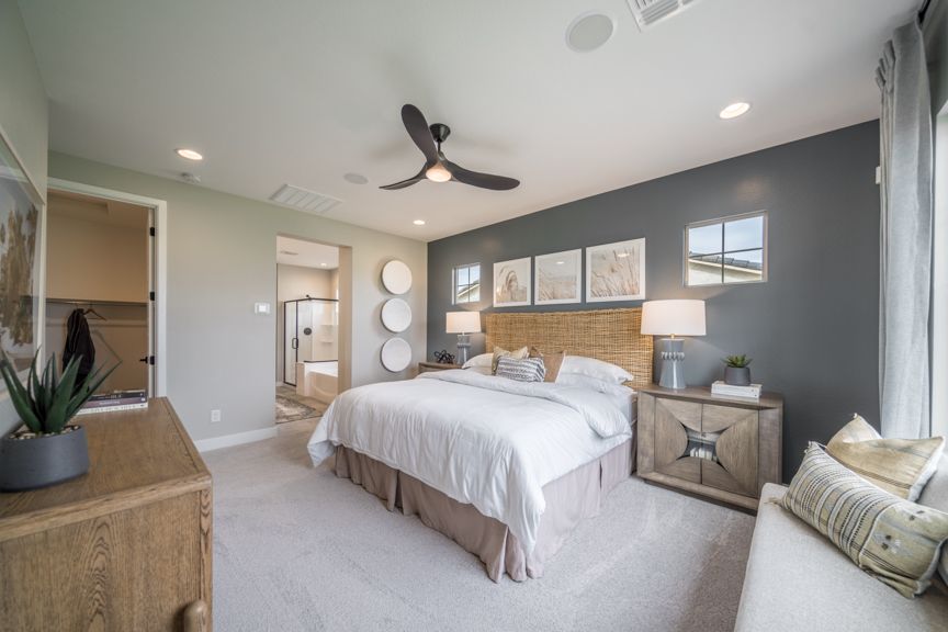 Hawes Ventur IJasper Primary  Suite  2