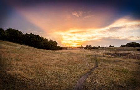 LG_landscape