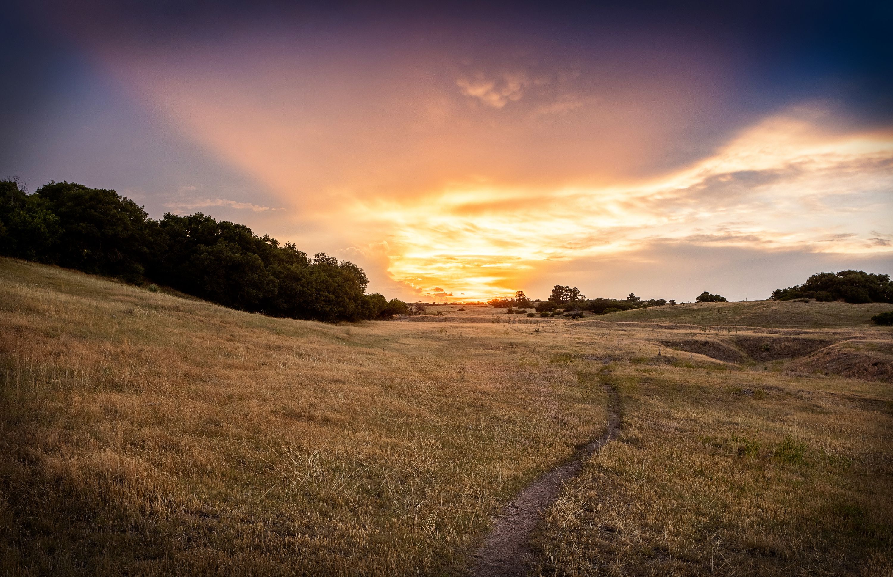 LG_landscape