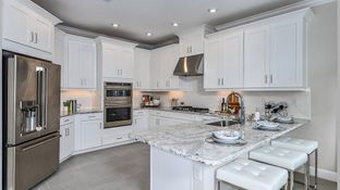 Anastasia - Cassia at Skye Ranch: Sarasota, Florida - Taylor Morrison