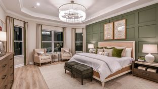 Pallazio - Esplanade at Azario Lakewood Ranch: Lakewood Ranch, Florida - Taylor Morrison