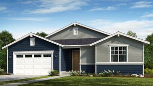 Walnut II - Ovation at Oak Tree: Lacey, Washington - Taylor Morrison