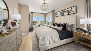 Sandestin - Seahaven: Punta Gorda, Florida - Taylor Morrison