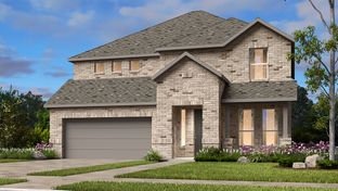 Terracotta - South Oak 50s: Oak Point, Texas - Taylor Morrison