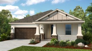 Antillia - Colbert Landings: Palm Coast, Florida - Taylor Morrison