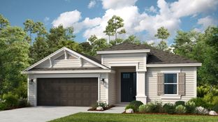 San Blas - Colbert Landings: Palm Coast, Florida - Taylor Morrison
