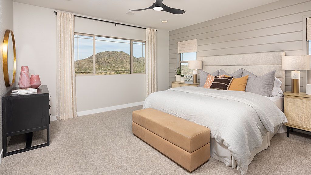 Aloravita Holly Primary 1024x576