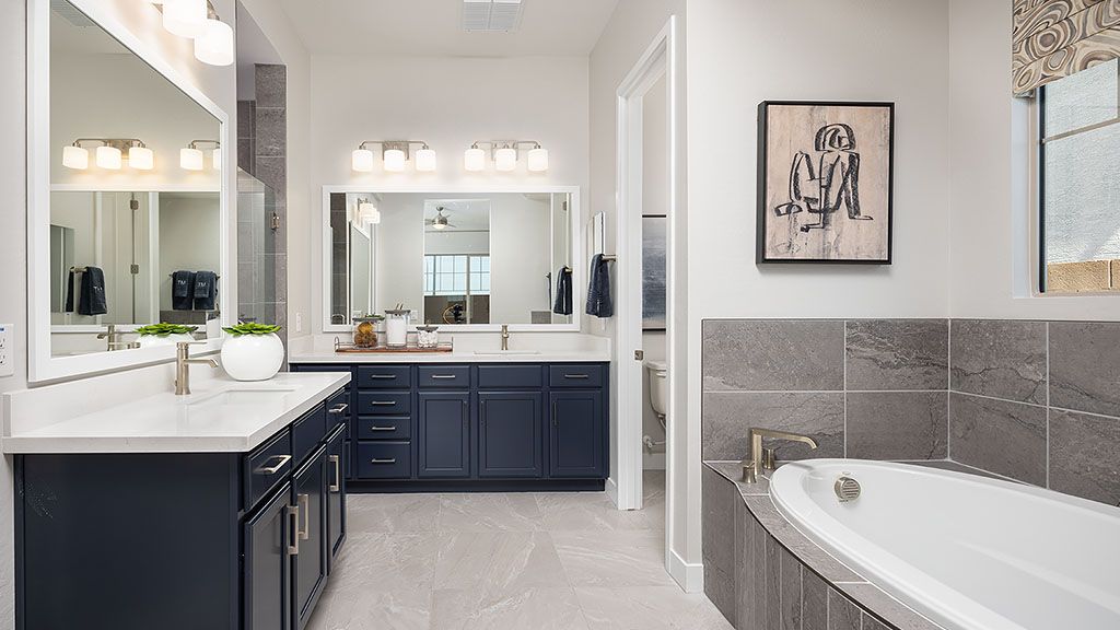 Aloravita Iris Primary Bath 1024x576