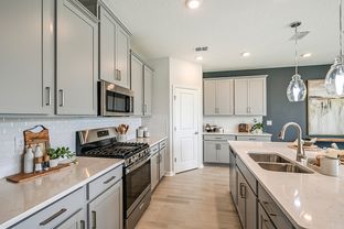 Birch - Cherry Elm at SilverLeaf: St Augustine, Florida - Taylor Morrison