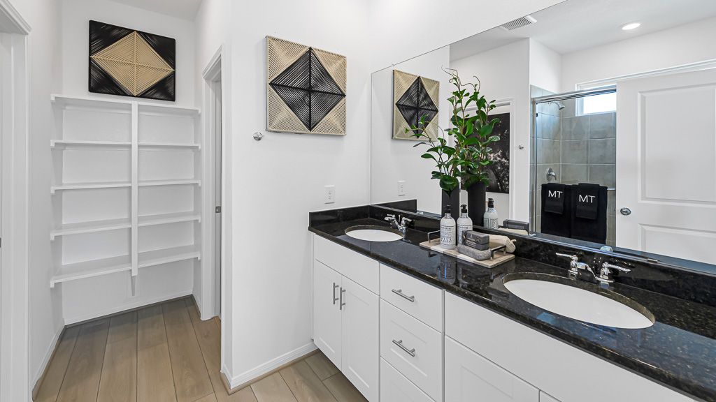 43-TM Hockley Model Allegro Int-20240627