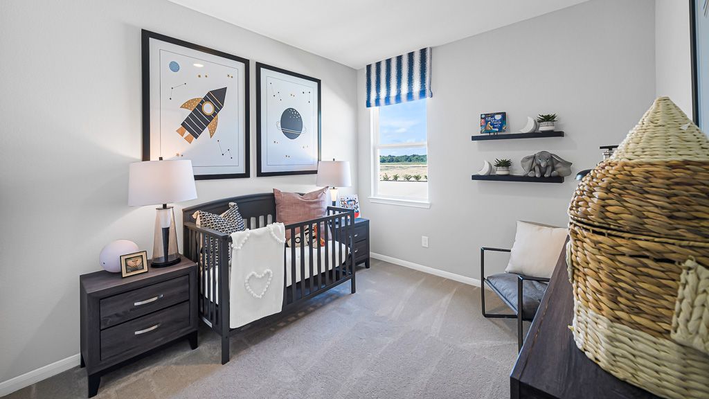 50-TM Hockley Model Allegro Int-20240627