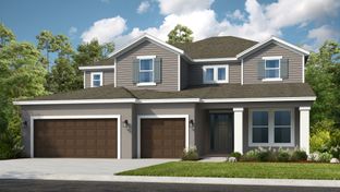 Saint Lucia - The Waters at Center Lake Ranch: Saint Cloud, Florida - Taylor Morrison
