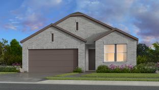 Viola - Bridge Creek 45s and 50s: Cypress, Texas - Taylor Morrison