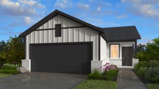 Capella II - Redbud 40s: Hockley, Texas - Taylor Morrison