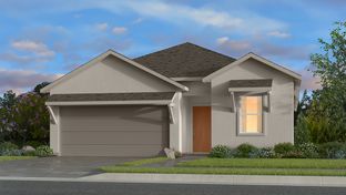 Lantana - Raburn Reserve 50s: Tomball, Texas - Taylor Morrison