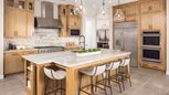 Verdin Summit Collection - Phoenix, AZ