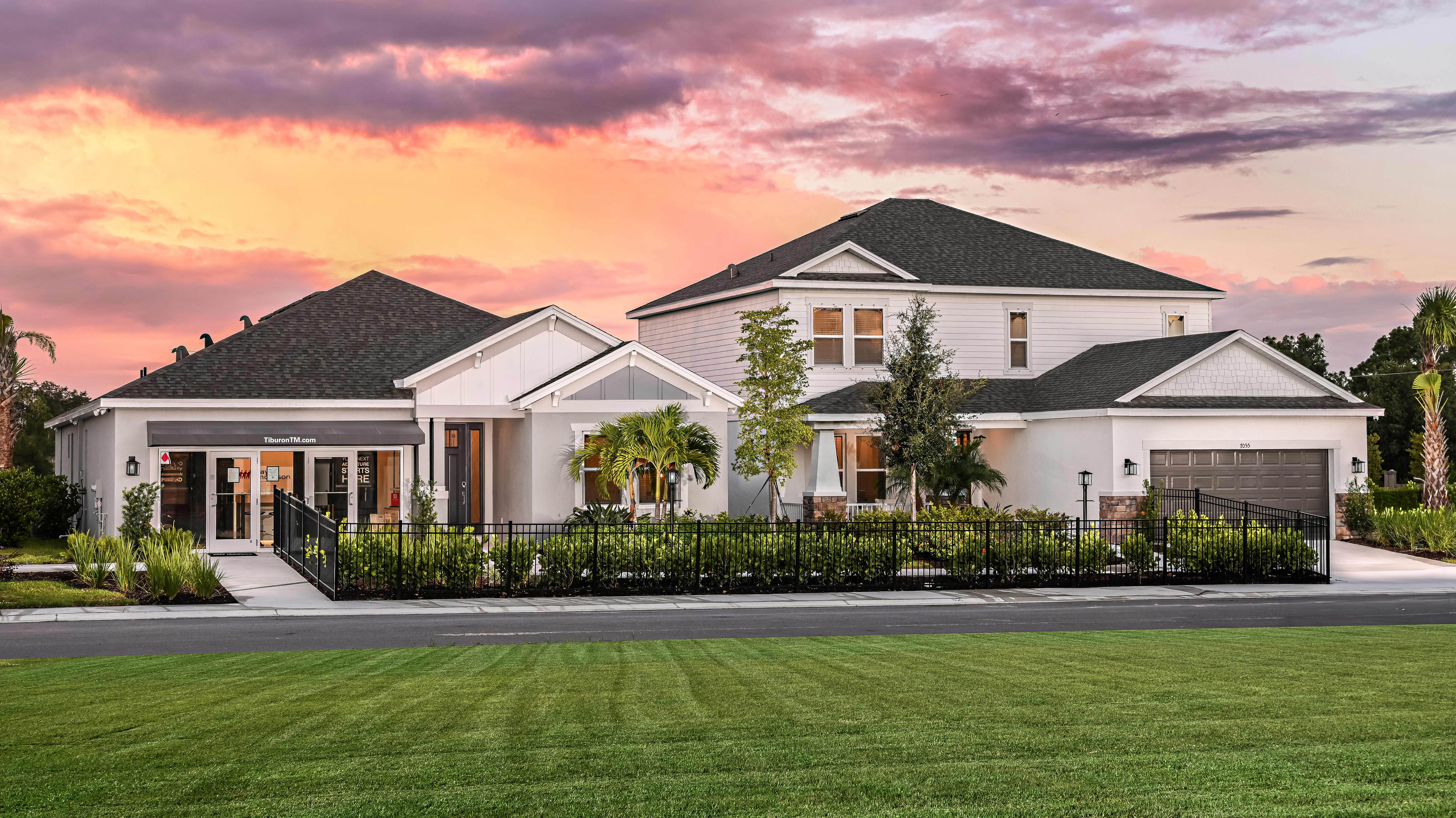 Tiburon 6323-1200x675