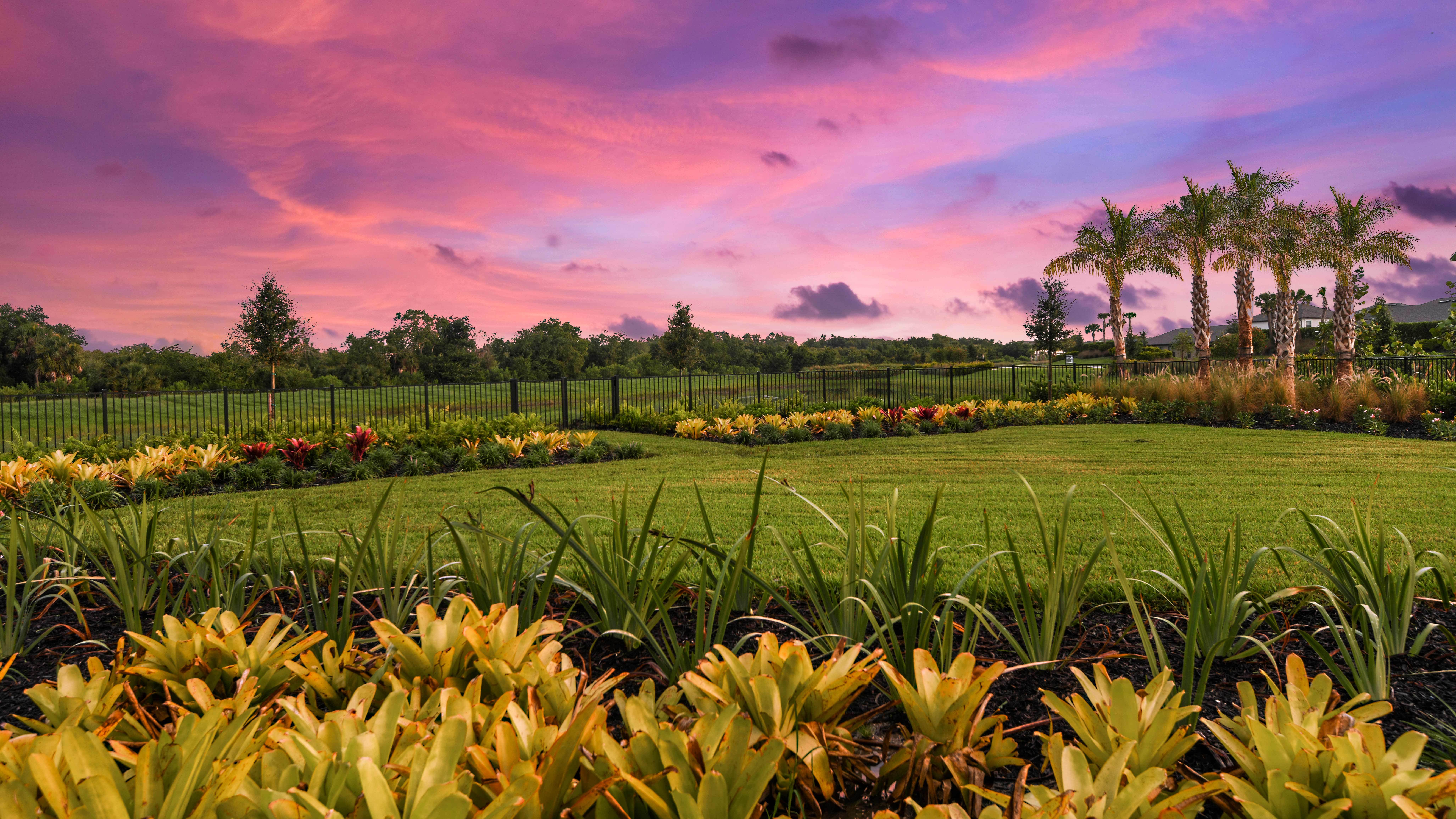 Cassia at Skye Ranch Sunrise Park sunset...