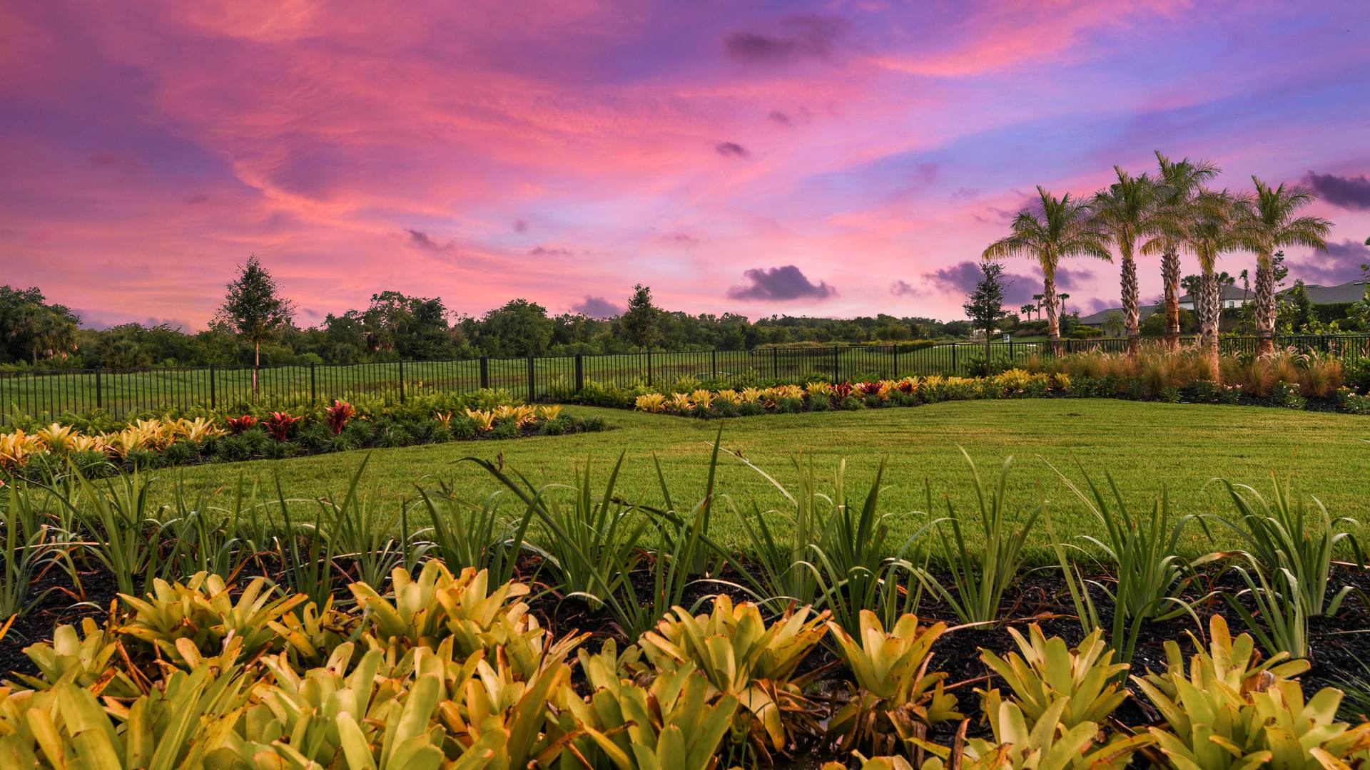 Cassia at Skye Ranch Sunrise Park sunset...
