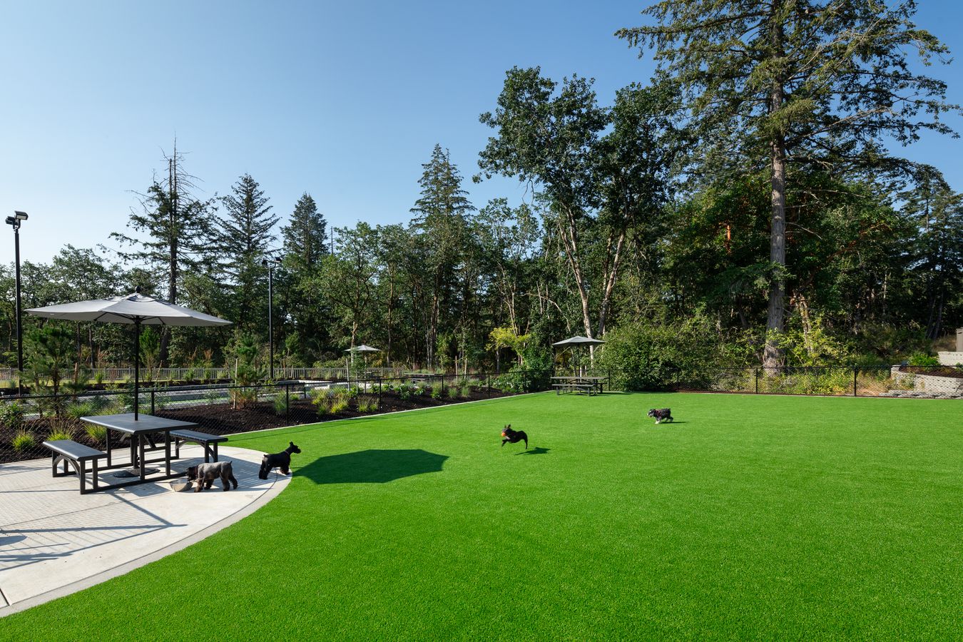 Ovation at Oak Tree_The Villages Dog Park
