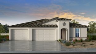 Cardinal - Artisan at Asante Journey Collection: Surprise, Arizona - Taylor Morrison