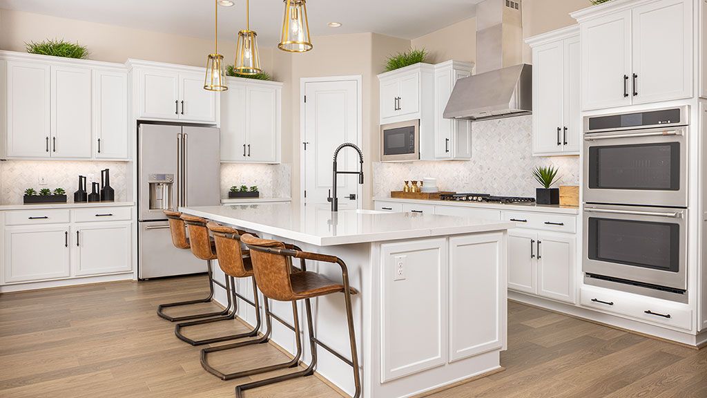 Aloravita South Catalina Kitchen