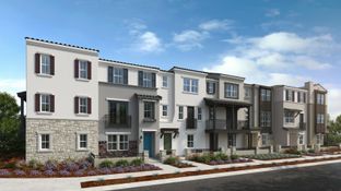 Plan 7B - Amelia: Mountain View, California - Taylor Morrison