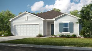 8119 Archibald Terrrace (Ficus)
