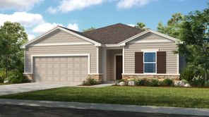 8113 Archibald Terrace (Ficus)