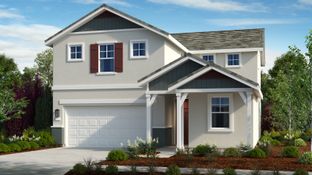 Mae Plan 6 - Oakbridge at Wildhawk North: Sacramento, California - Taylor Morrison